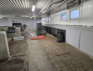 Rekonstrukce haly chovu prasat